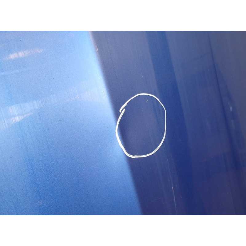 Recambio de capo para bmw 3 (e90) 320 d referencia OEM IAM 6