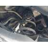 Recambio de muelle amortiguacion para seat leon (kl1) style referencia OEM IAM   