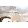 Recambio de paragolpes trasero para bmw serie 1 lim. (f40) 118d luxury line referencia OEM IAM   