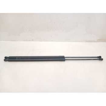 AMORTIGUADORES MALETERO / PORTON 904510005R 