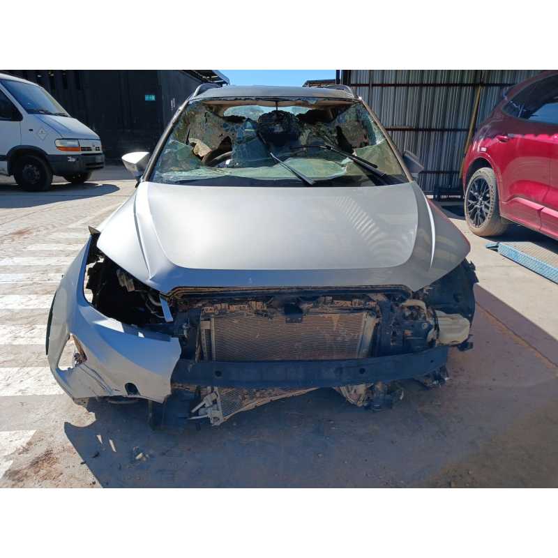 seat arona del año 2024