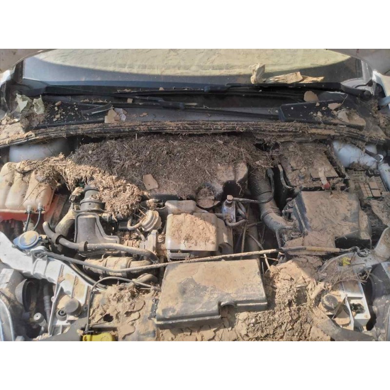 ford focus lim. (cb8) del año 2014