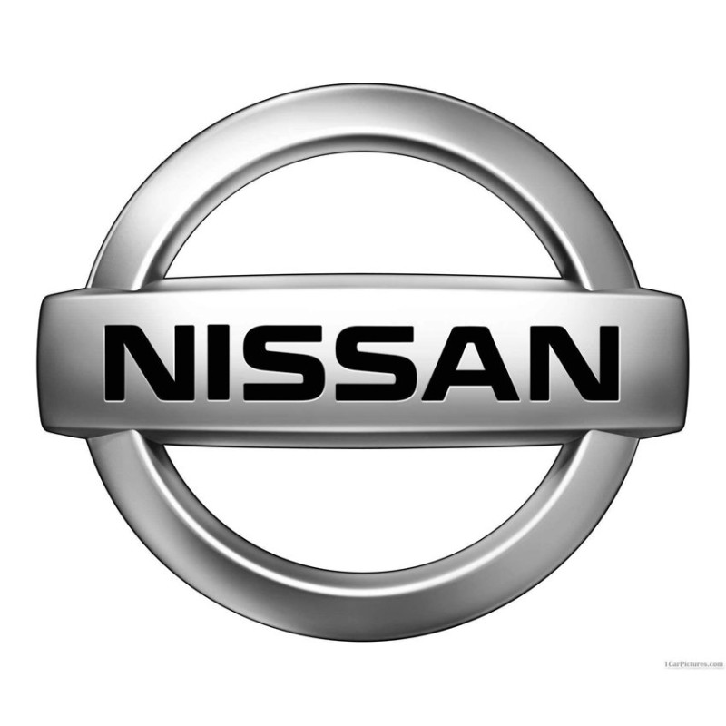 nissan atleon del año 2002