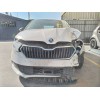 skoda fabia del año 2021