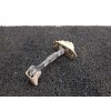 Recambio de retenedor puerta delantera derecha para nissan almera (n16/e) line up referencia OEM IAM   