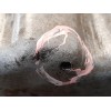 Recambio de motor completo para seat leon (1p1) cupra referencia OEM IAM BWJ  