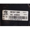 Recambio de piloto trasero derecho para peugeot 3008 allure referencia OEM IAM 9810477080  