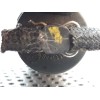 Recambio de inyector para alfa romeo 156 (116) 2.4 jtd cat referencia OEM IAM 0445110119 BOSCH 