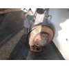 Recambio de puente trasero para volkswagen polo (9n1) highline referencia OEM IAM   