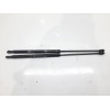 Recambio de amortiguadores maletero / porton para citroën ax 1.1 referencia OEM IAM   