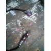 Recambio de sonda lambda para toyota yaris (ncp1/nlp1/scp1) 1.0 linea sol referencia OEM IAM 8946552020  
