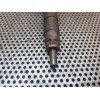 Recambio de inyector para nissan primera berlina (p12) tekna referencia OEM IAM 8200100272  BOSCH
