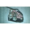 Recambio de cerradura puerta delantera izquierda para hyundai atos (mx) 1.0 cat referencia OEM IAM   