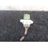Recambio de resistencia calefaccion para ford fiesta (ccn) black edition referencia OEM IAM   