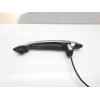 Recambio de maneta exterior delantera izquierda para bmw mini (r50,r53) one d referencia OEM IAM   