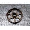 Recambio de polea arbol levas para volkswagen passat berlina (3c2) advance referencia OEM IAM 06A10911B  